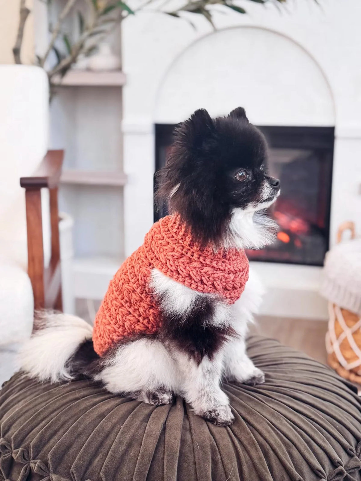 Dog Sweater Crochet Pattern PDF + Video – Top-Down Dog Sweater in 8 Sizes