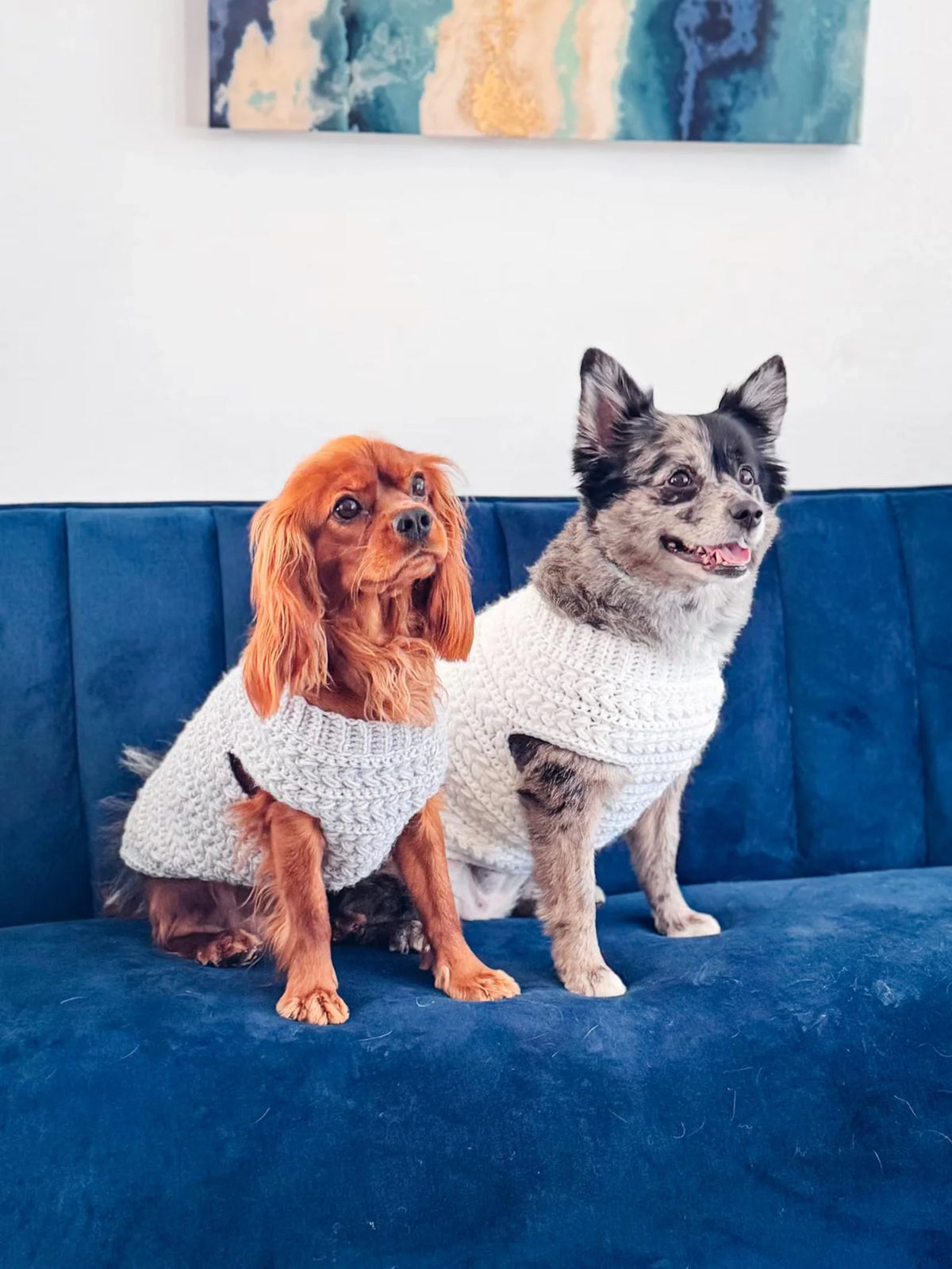 Dog Sweater Crochet Pattern PDF + Video – Top-Down Dog Sweater in 8 Sizes