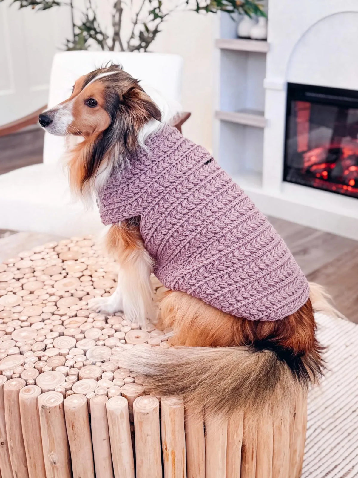 Dog Sweater Crochet Pattern PDF + Video – Top-Down Dog Sweater in 8 Sizes