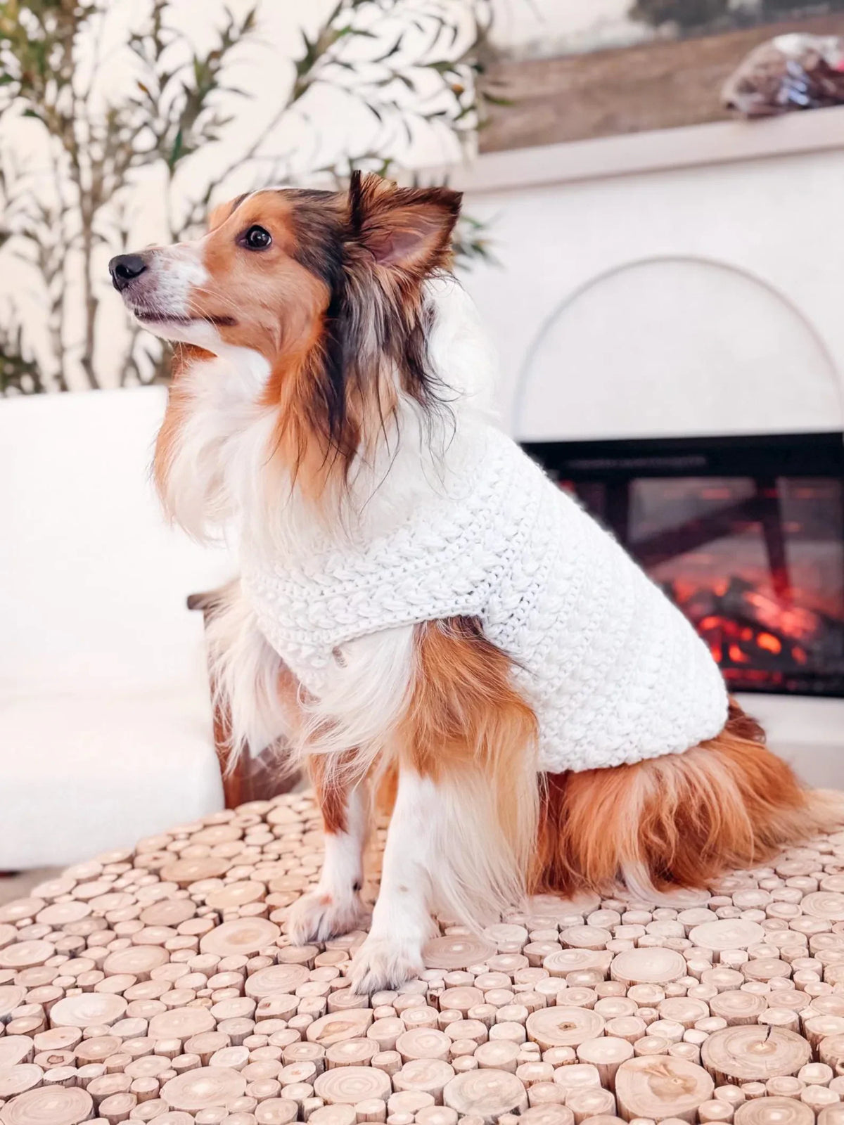 Dog Sweater Crochet Pattern PDF + Video – Top-Down Dog Sweater in 8 Sizes