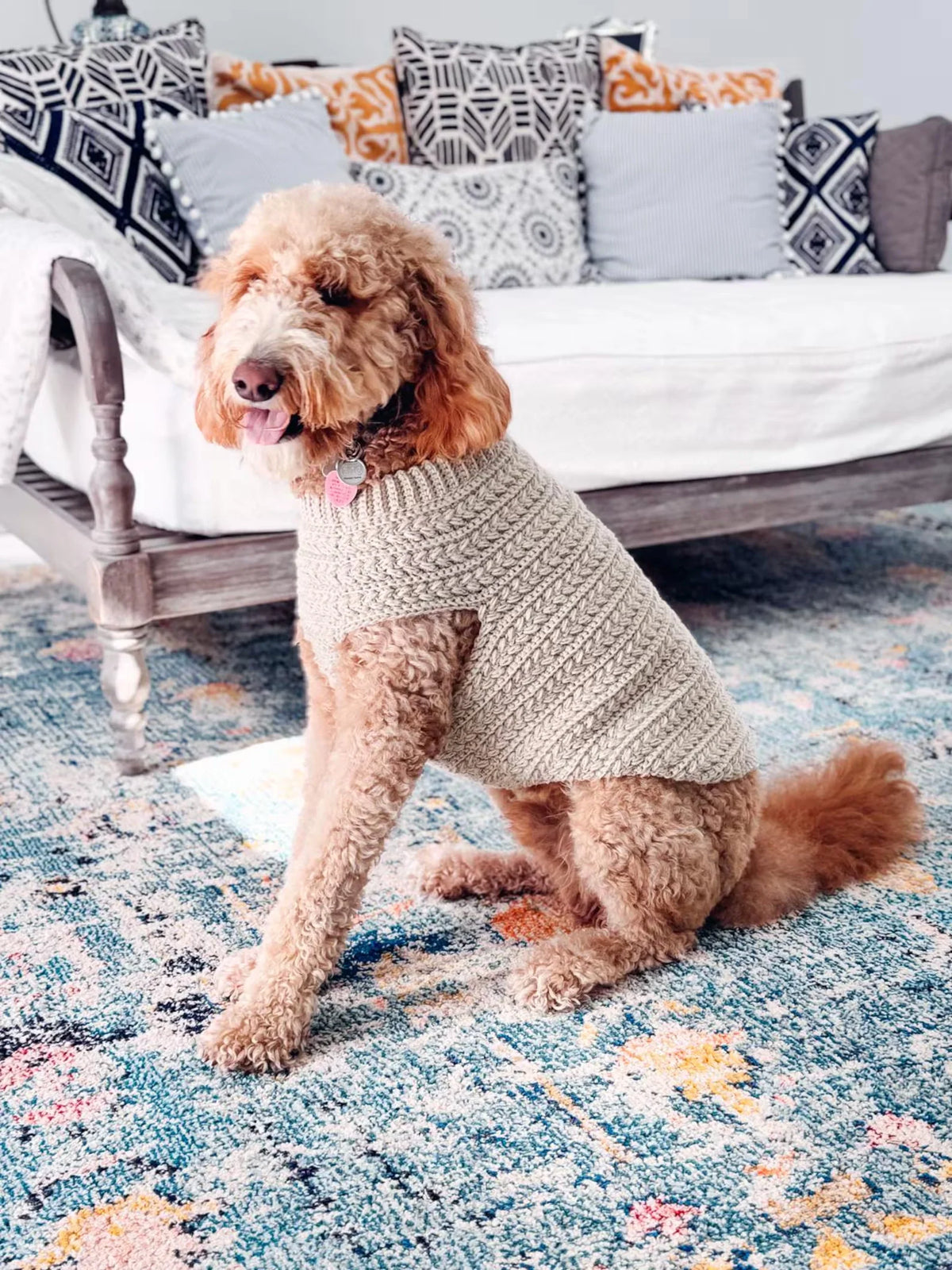 Dog Sweater Crochet Pattern PDF + Video – Top-Down Dog Sweater in 8 Sizes